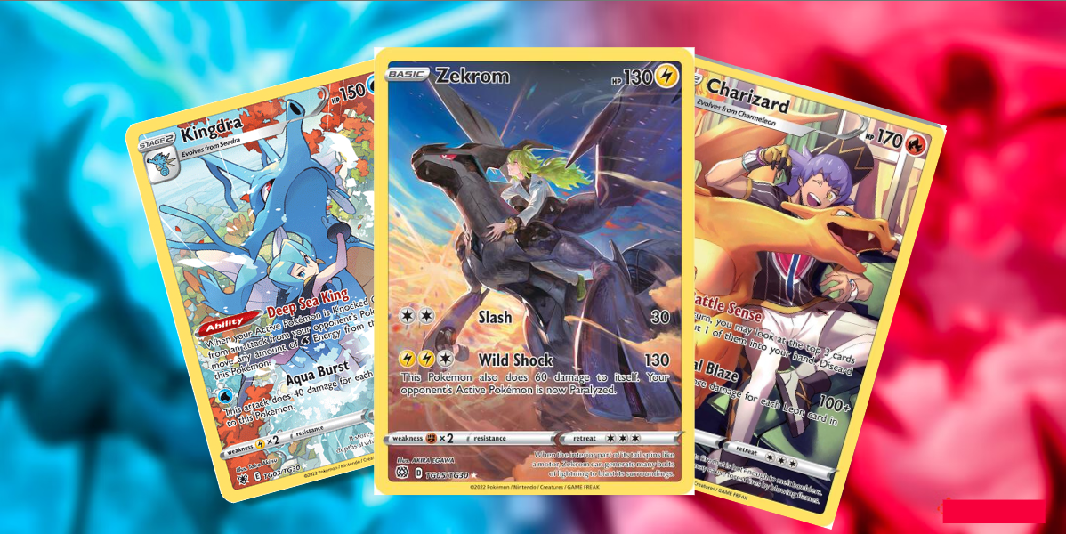 Trainer Gallery – Collective Valley