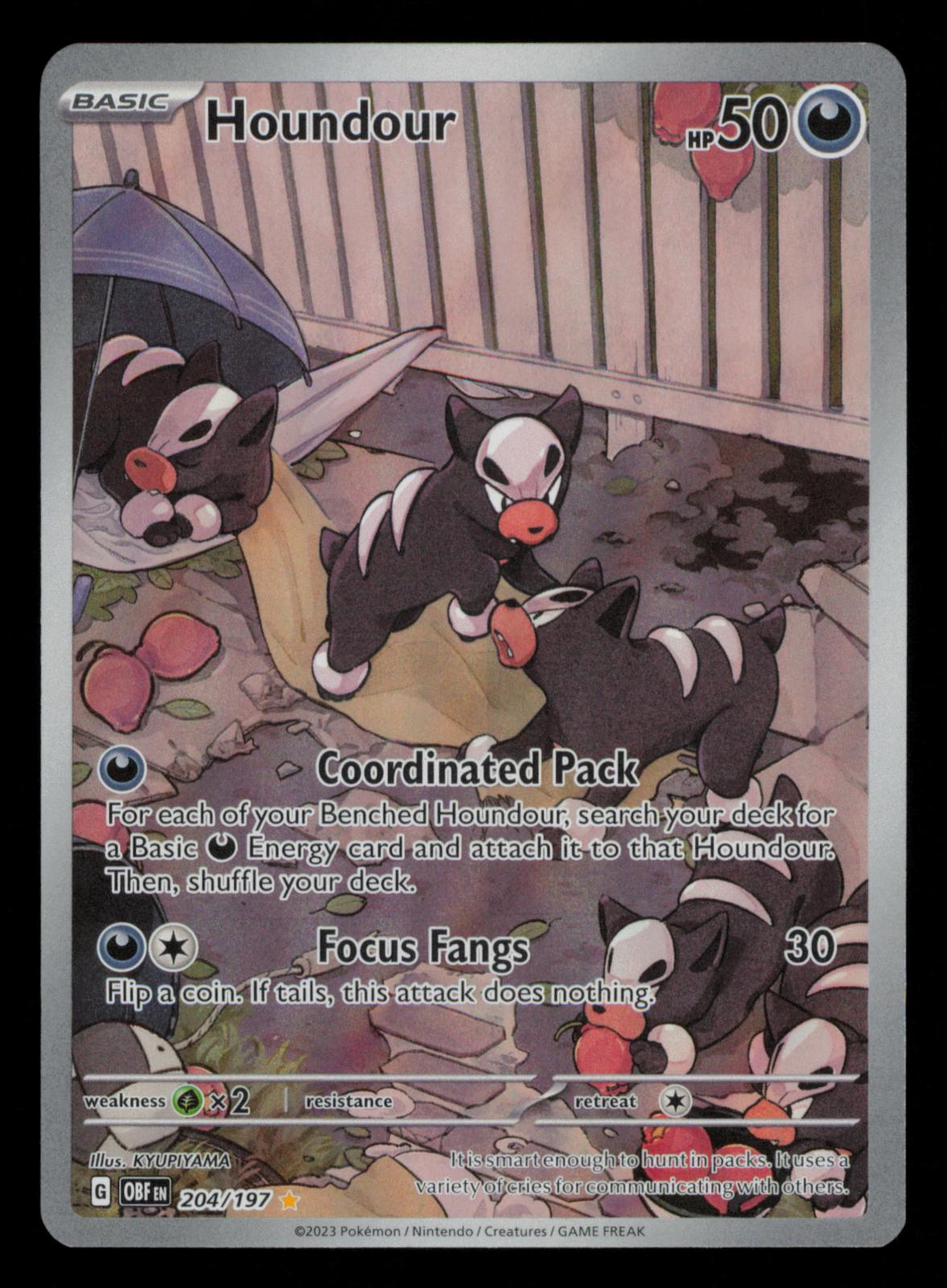 Houndour 204/197 Illustration Rare Obsidian Flames Pokemon