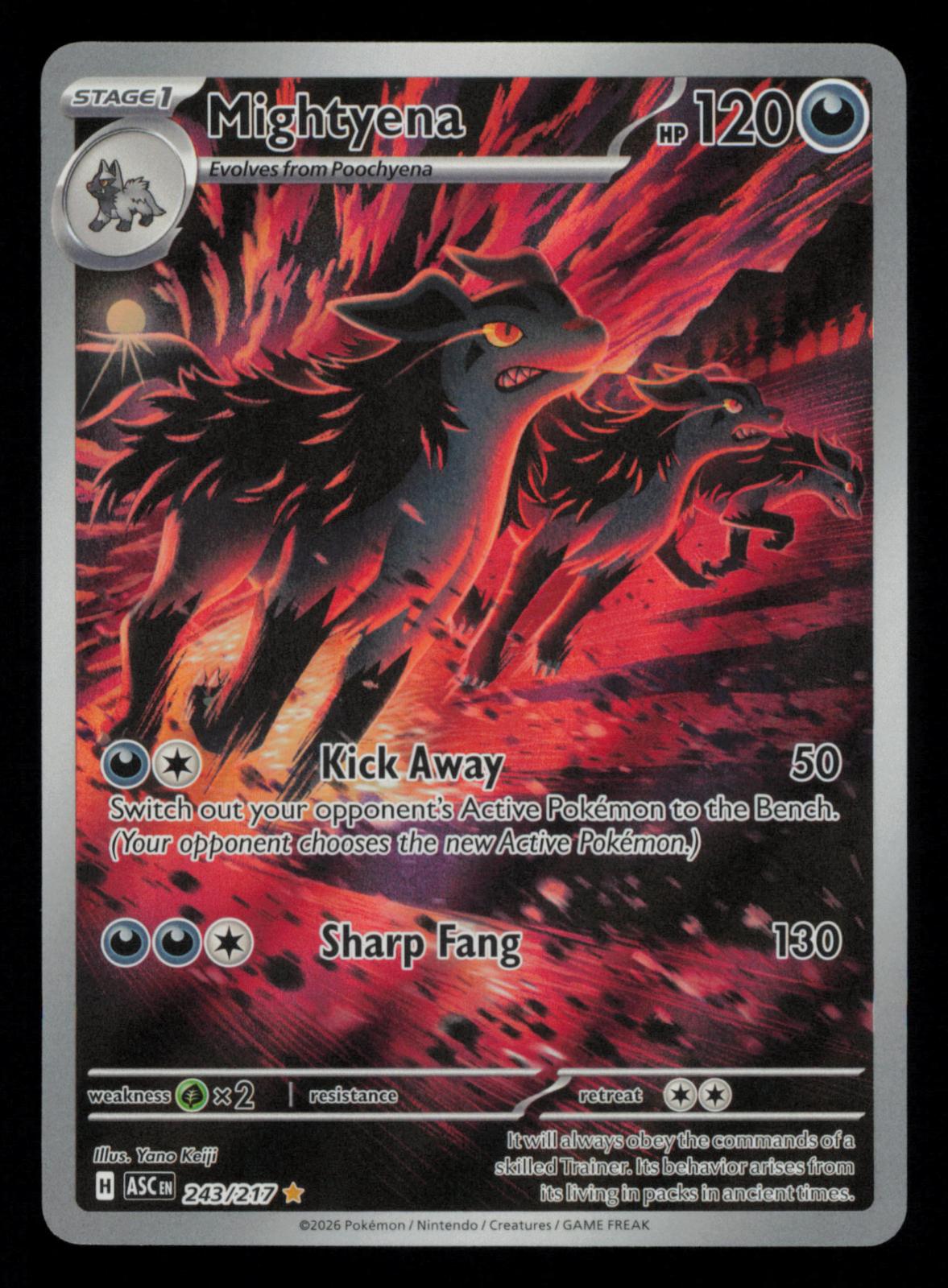 Mightyena 243/217 Illustration Rare Ascended Heroes Pokemon