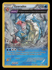 Gyarados 021/098 Holo Holo Rare Miscellaneous Cards & Products Pokemon