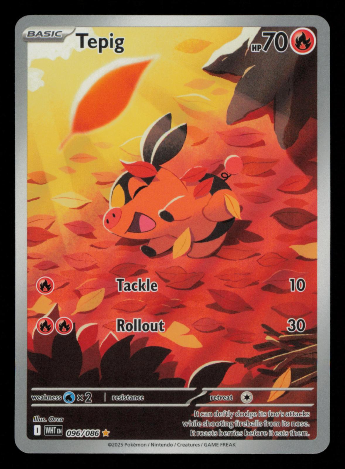 Tepig 096/086 Illustration Rare White Flare Pokemon Holo