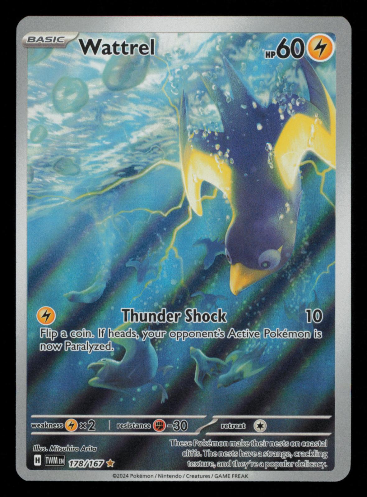 Wattrel 178/167 Illustration Rare Twilight Masquerade Pokemon