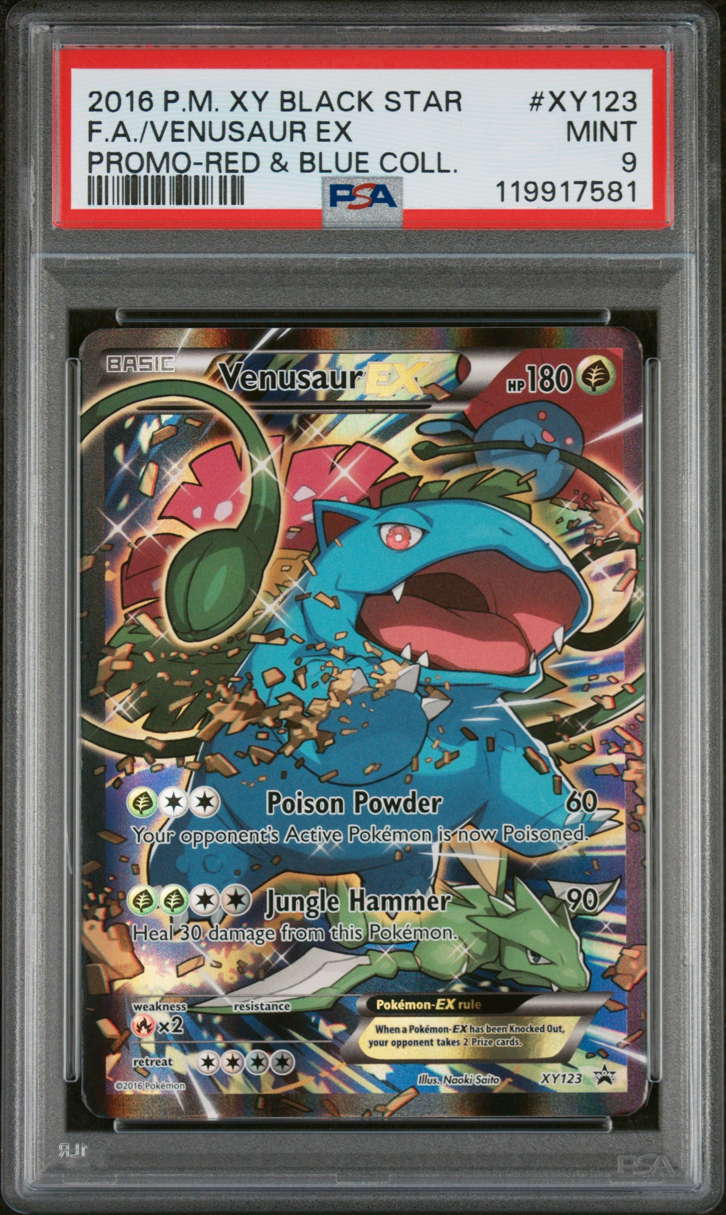 Venusaur EX XY123 Red & Blue Collection Black Star Promo Pokemon PSA 9