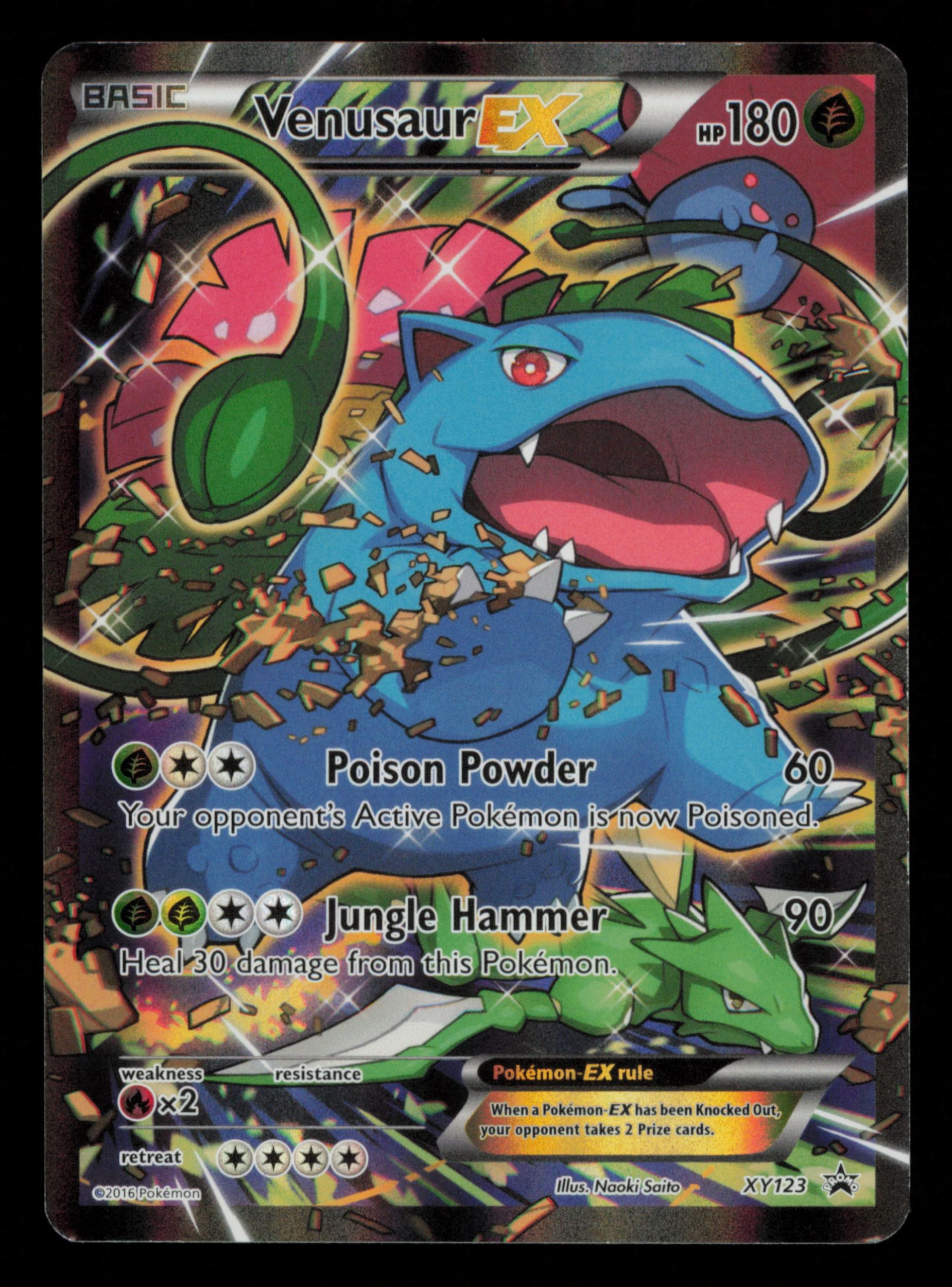 Venusaur EX XY123 Promo XY Black Star Promos Pokemon