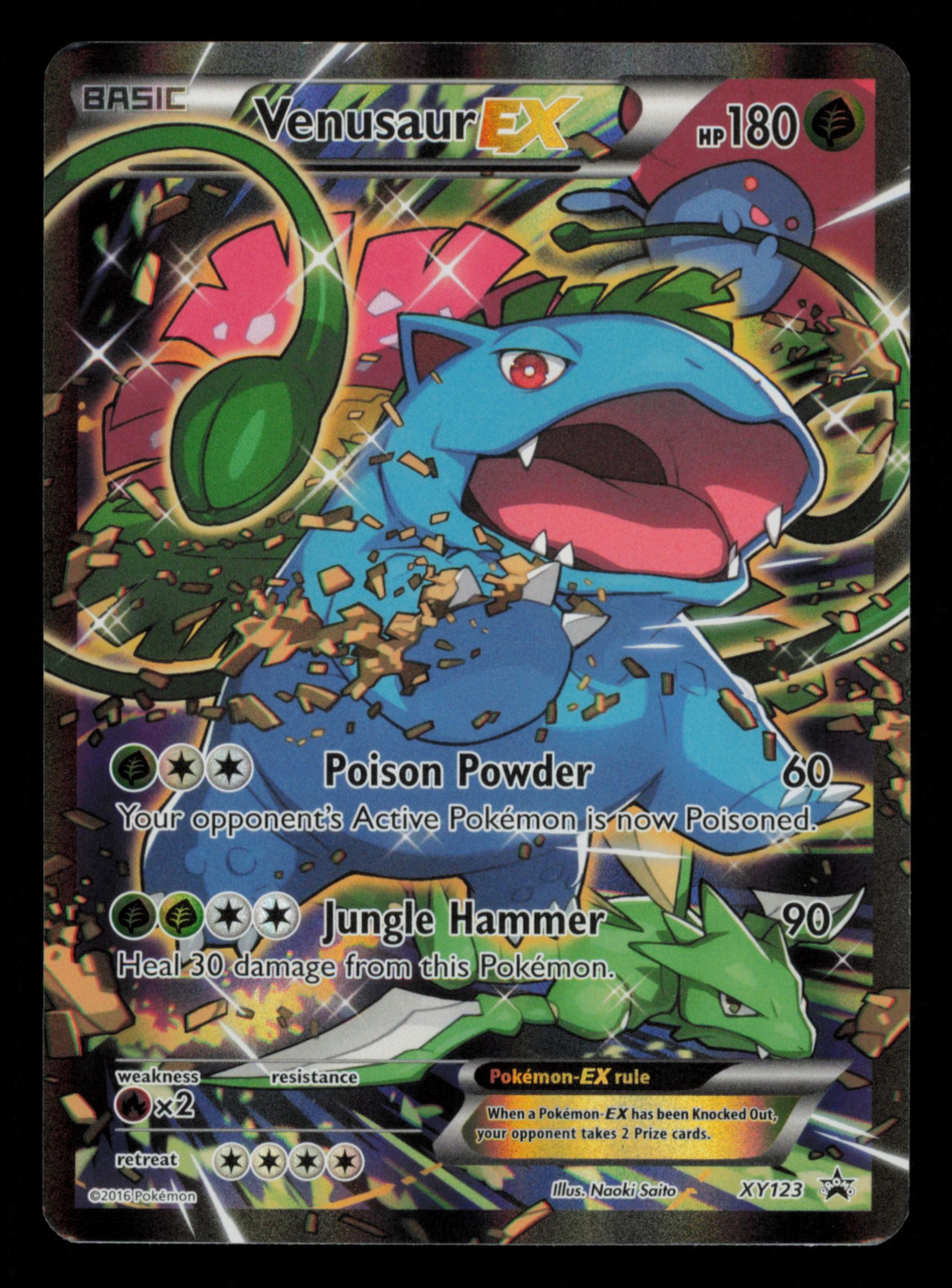 Venusaur EX XY123 Promo XY Black Star Promos Pokemon