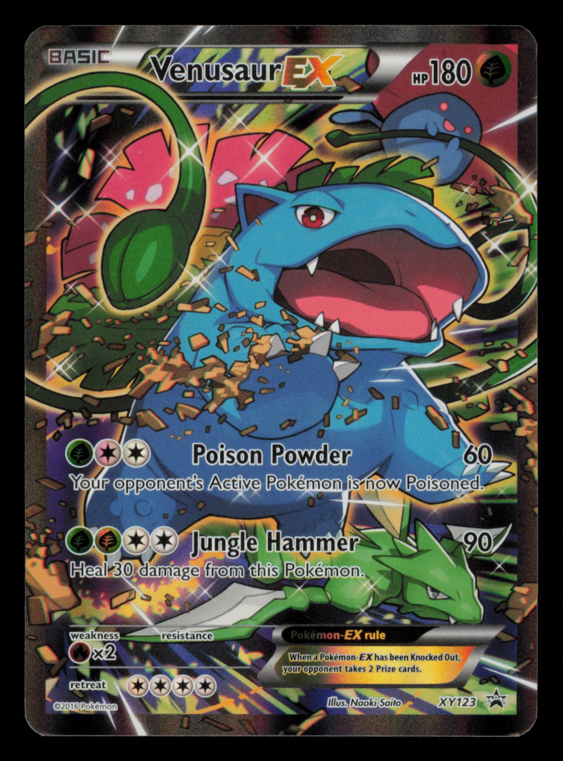 Venusaur EX XY123 Promo XY Black Star Promos Pokemon