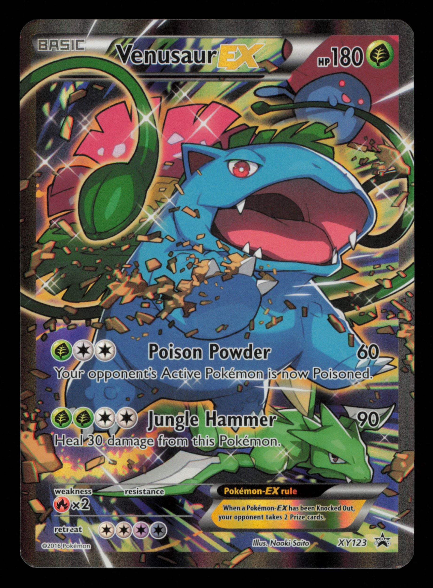 Venusaur EX XY123 Promo XY Black Star Promos Pokemon