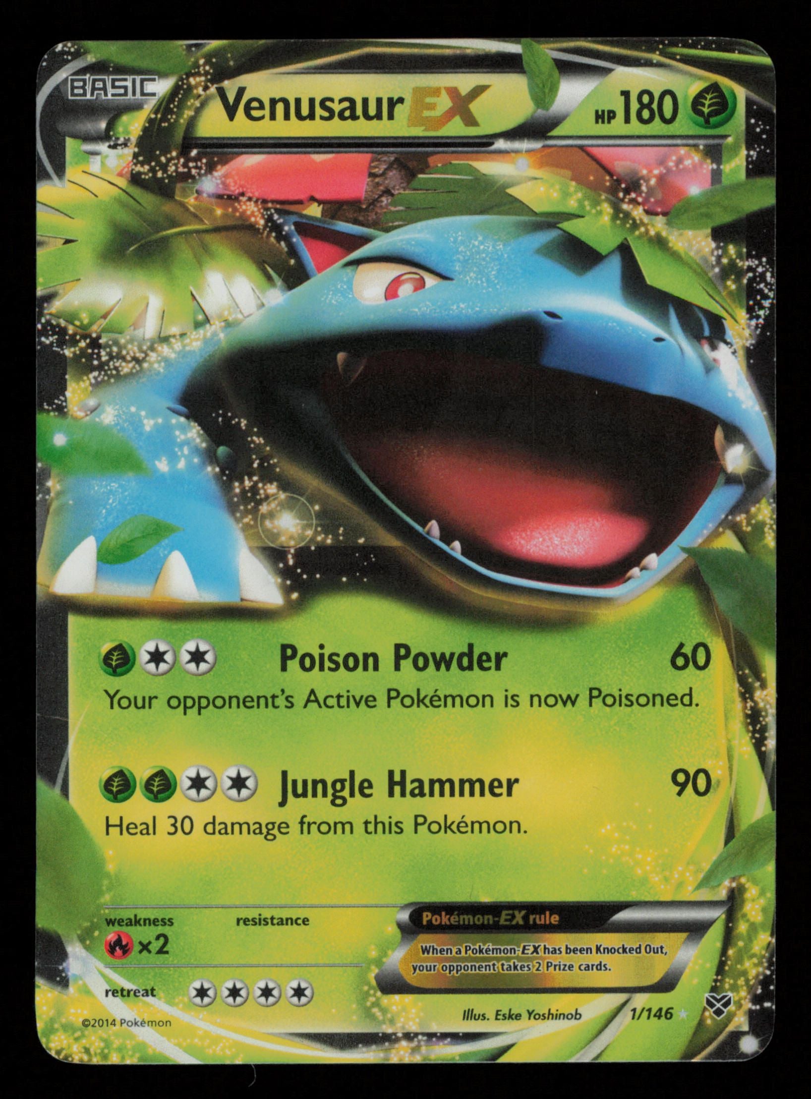 Venusaur EX 1/146 Holo Rare EX XY Pokemon