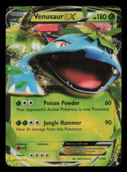 Venusaur EX 1/146 Holo Rare EX XY Pokemon