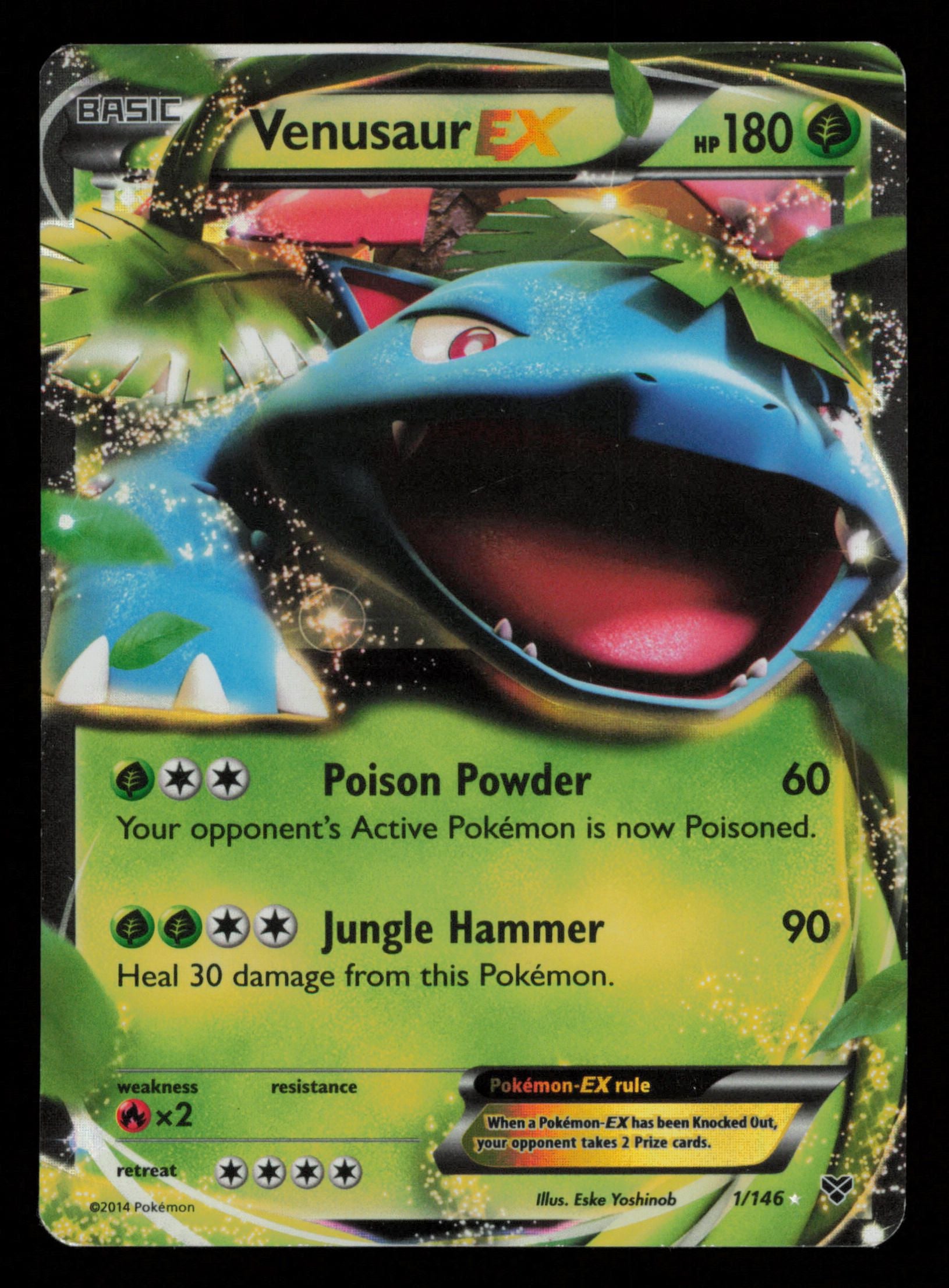 Venusaur EX 1/146 Holo Rare EX XY Pokemon
