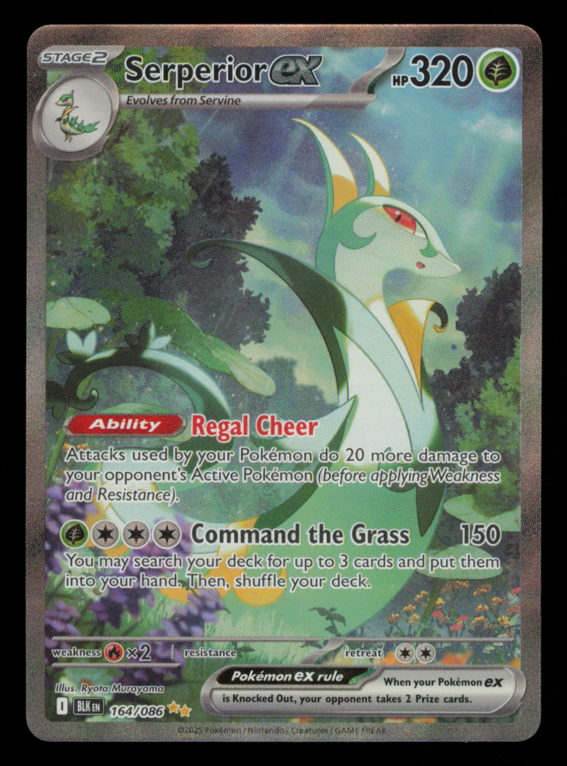 Serperior ex 164/086 Special Illustration Rare Black Bolt Pokemon