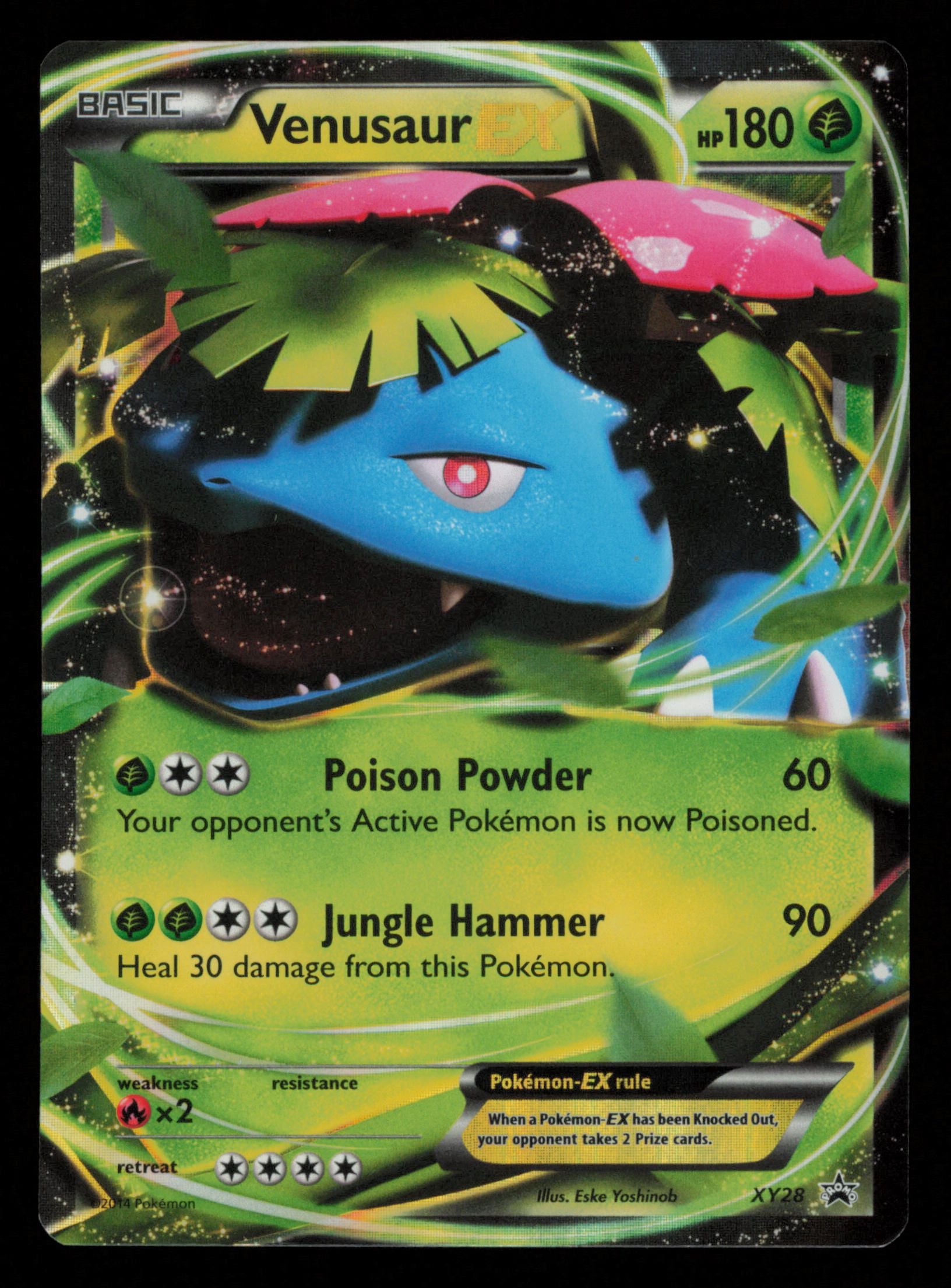 Venusaur EX XY28 Promo XY Black Star Promos Pokemon