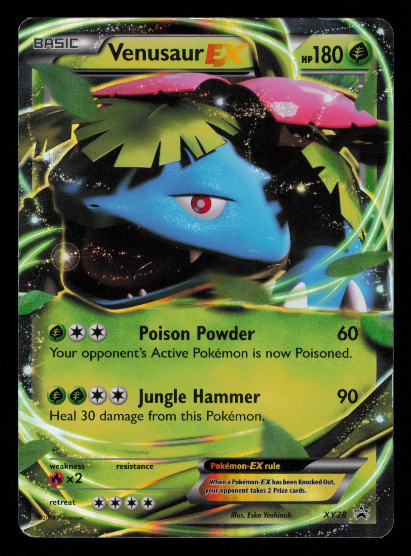 Venusaur EX XY28 Promo XY Black Star Promos Pokemon