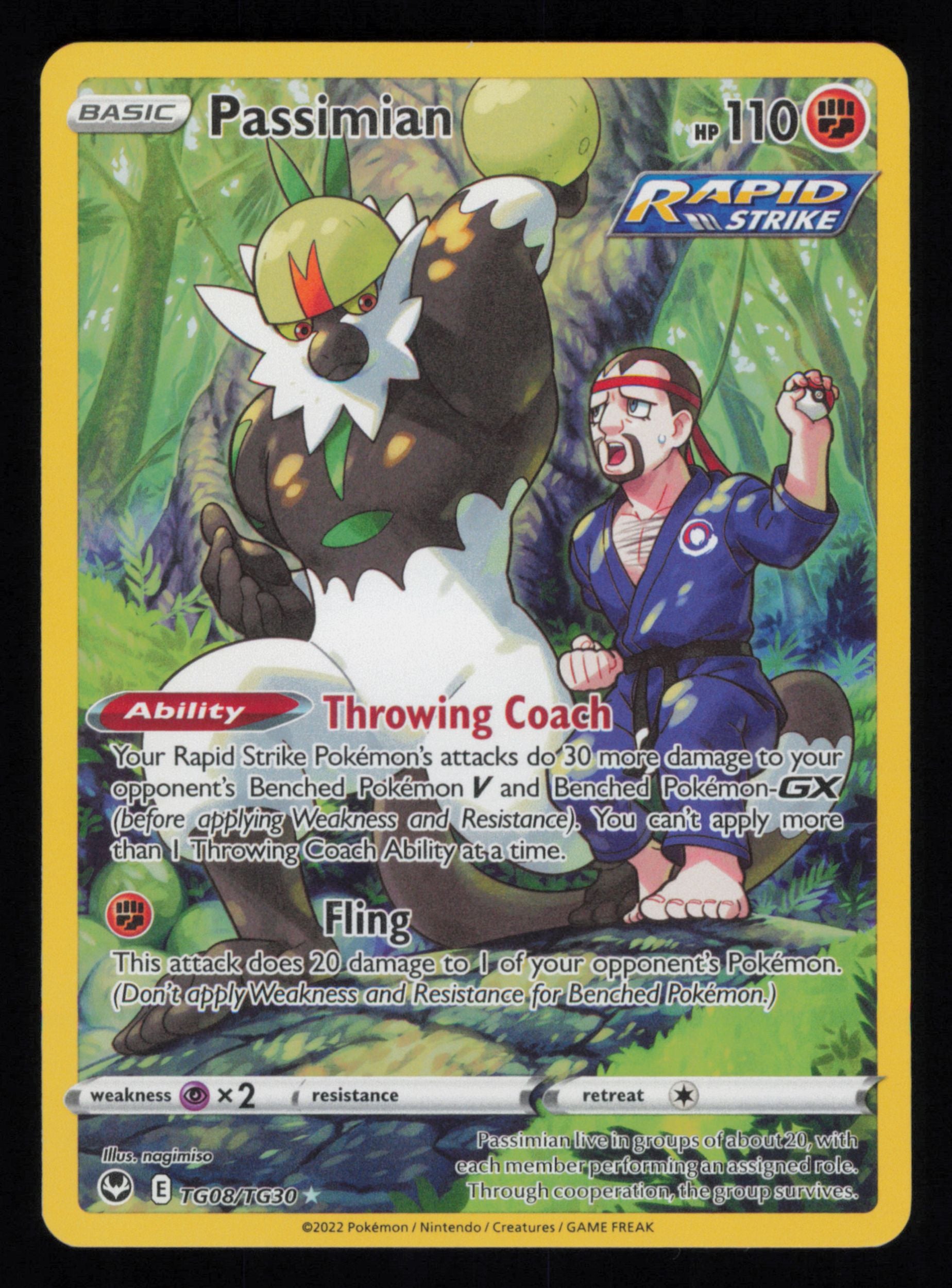 Passimian TG08/TG30 Holo Silver Tempest Trainer Gallery Pokemon