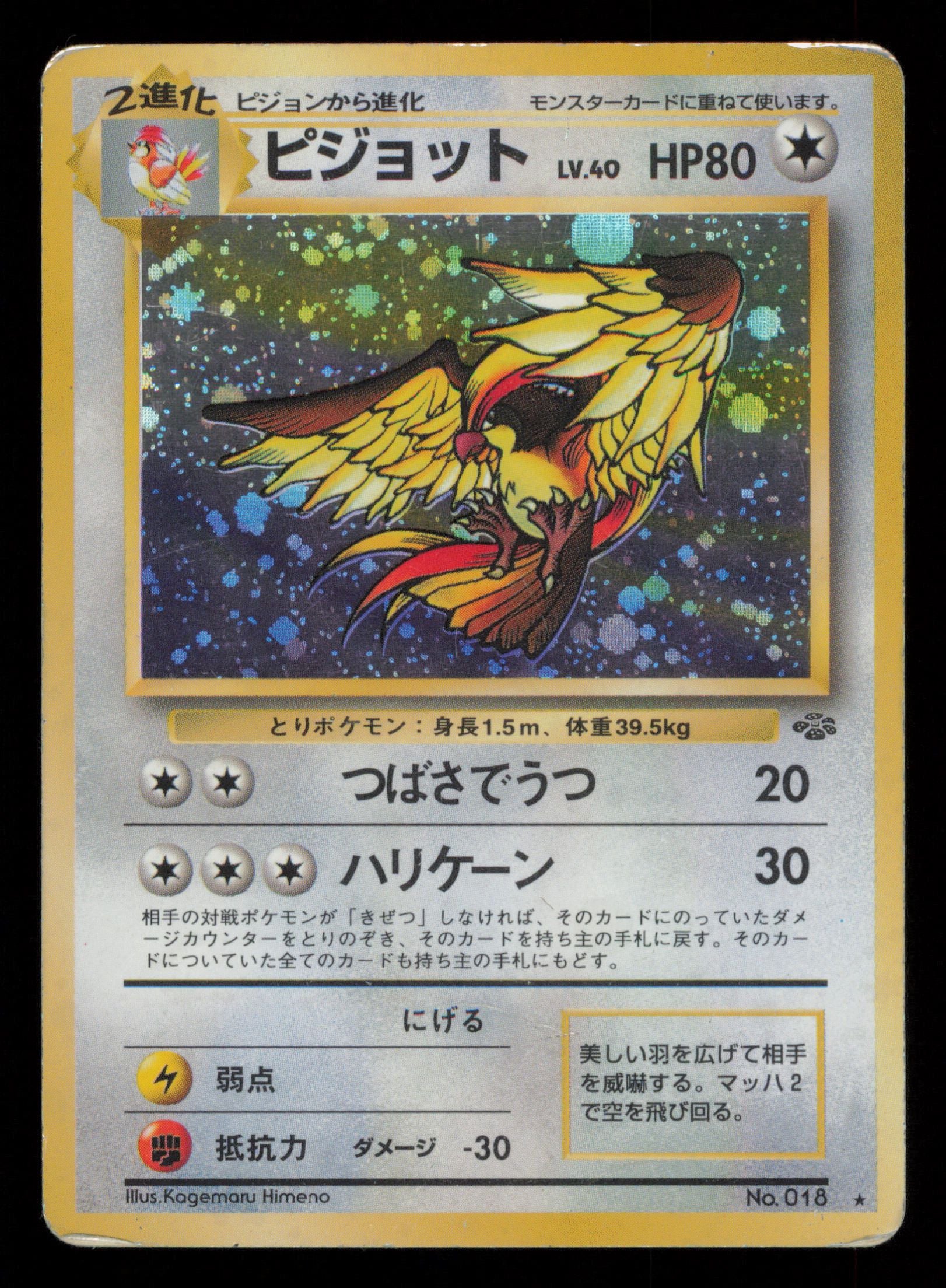 Pidgeot NO. 018 Holo Rare Jungle Pokemon Japanese